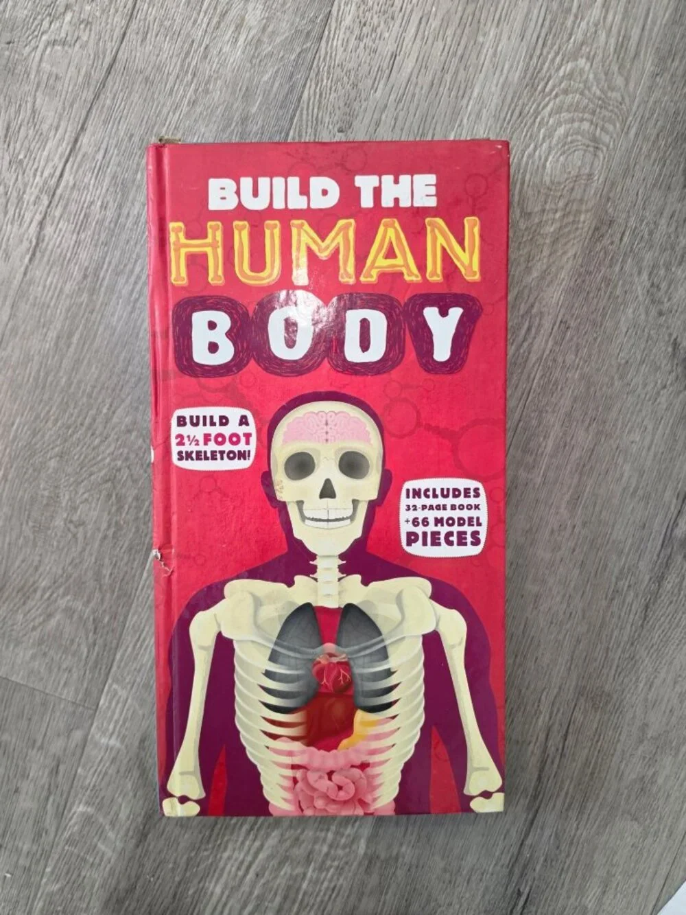 Build The Human Body Interactive Model Book With 66 Pieces & 32-Page Guide